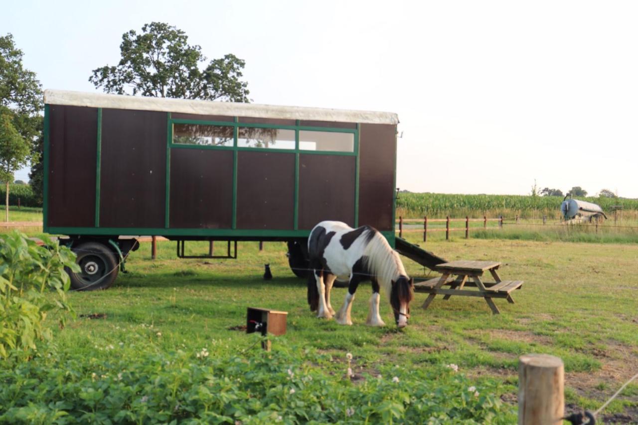 Slapen Tussen De Paarden Hotel Essen Exterior photo